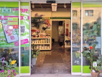 Solides Anlageobjekt in guter Lage im Innsbrucker Stadtteil Saggen, 6020 Innsbruck, Geschäftslokal