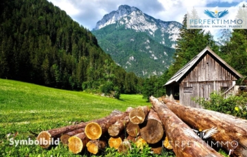Wald- und Wiesengrundstücke in Arzl im Pitztal, 6471 Arzl im Pitztal, Land und Forstwirtschaft